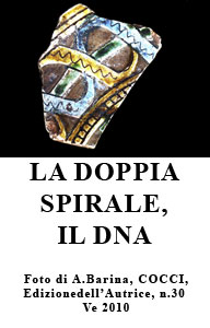 Il DNA