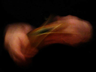 Il senso della lettura, foto Antonella Barina