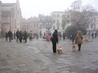 benedizione_bragora_2011_00 -foto di Luca Franceschi, di Animali in Citt1