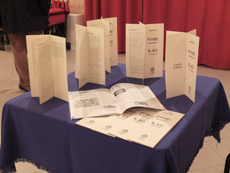 esposizione Fuorimercato, n° 40- i manifesti, di Antonella Barina