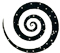 spirale, logo di Antonella Barina©