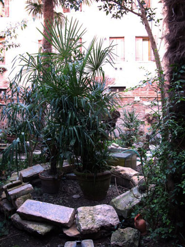 cerchio palme