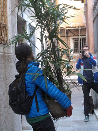 palme