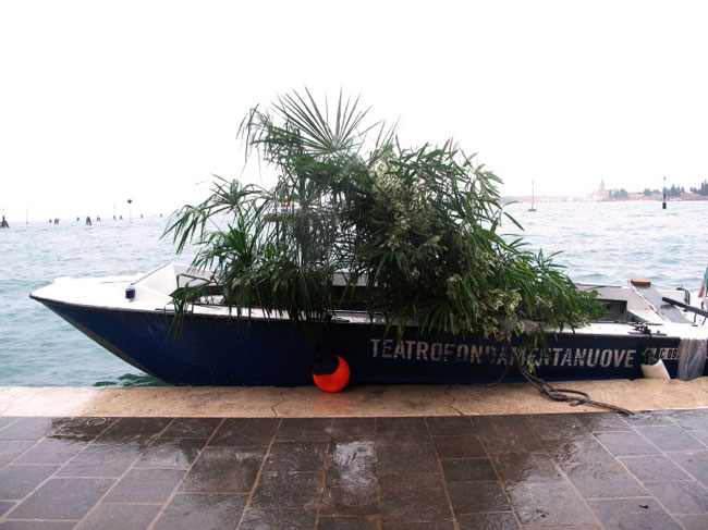 barca con le palme