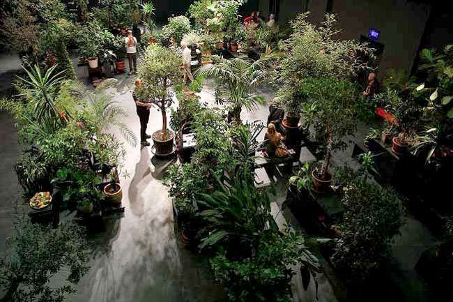 giardino