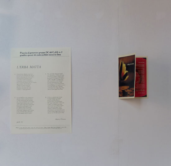 foto Simonetta Borrelli