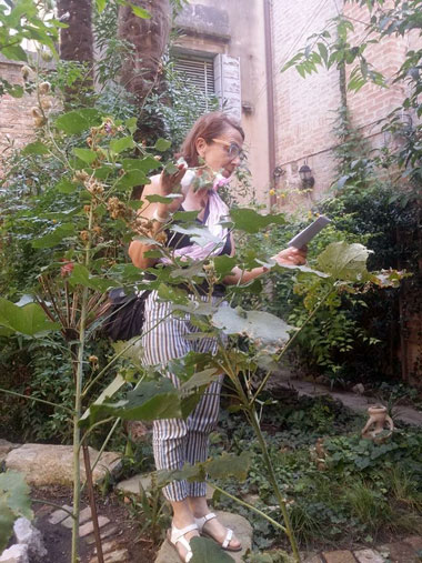 annette ronchin